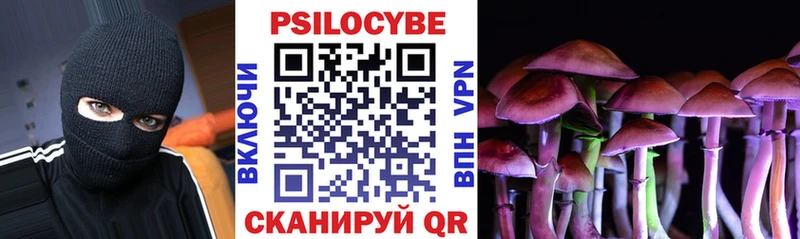 Псилоцибиновые грибы Psilocybe  Харовск 